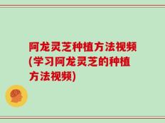 阿龙灵芝种植方法视频(学习阿龙灵芝的种植方法视频)