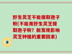 野生灵芝不能提取孢子粉(不能用野生灵芝提取孢子粉？新发现影响灵芝种植的重要因素)