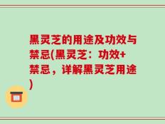 黑灵芝的用途及功效与禁忌(黑灵芝：功效+禁忌，详解黑灵芝用途)