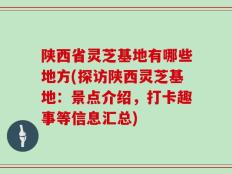 陕西省灵芝基地有哪些地方(探访陕西灵芝基地：景点介绍，打卡趣事等信息汇总)