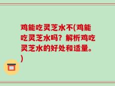 鸡能吃灵芝水不(鸡能吃灵芝水吗？解析鸡吃灵芝水的好处和适量。)