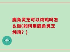 鹿角灵芝可以炖鸡吗怎么做(如何用鹿角灵芝炖鸡？)