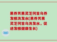 黑养芳黑灵芝何首乌养发根洗发水(黑养芳黑灵芝何首乌洗发水，促进发根健康生长)