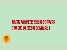 黑茶加灵芝煲汤的功效(黑茶灵芝汤的益处)