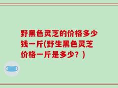 野黑色灵芝的价格多少钱一斤(野生黑色灵芝价格一斤是多少？)