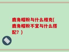 鹿角帽粉与什么相克(鹿角帽粉不宜与什么搭配？)