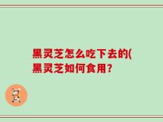 黑灵芝怎么吃下去的(黑灵芝如何食用？