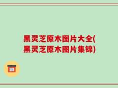 黑灵芝原木图片大全(黑灵芝原木图片集锦)