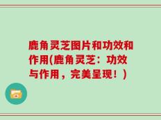 鹿角灵芝图片和功效和作用(鹿角灵芝：功效与作用，完美呈现！)
