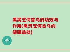 黑灵芝何首乌的功效与作用(黑灵芝何首乌的健康益处)
