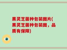 黑灵芝菌种包装图片(黑灵芝菌种包装图，品质有保障)