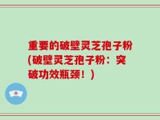 重要的破壁灵芝孢子粉(破壁灵芝孢子粉：突破功效瓶颈！)