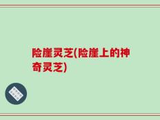 险崖灵芝(险崖上的神奇灵芝)