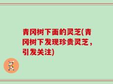 青冈树下面的灵芝(青冈树下发现珍贵灵芝，引发关注)
