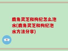 鹿角灵芝和枸杞怎么泡水(鹿角灵芝和枸杞泡水方法分享)
