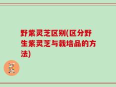 野紫灵芝区别(区分野生紫灵芝与栽培品的方法)