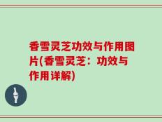香雪灵芝功效与作用图片(香雪灵芝：功效与作用详解)