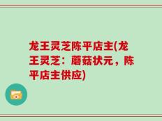 龙王灵芝陈平店主(龙王灵芝：蘑菇状元，陈平店主供应)