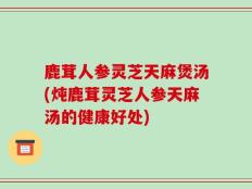 鹿茸人参灵芝天麻煲汤(炖鹿茸灵芝人参天麻汤的健康好处)