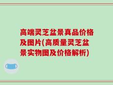 高端灵芝盆景真品价格及图片(高质量灵芝盆景实物图及价格解析)