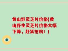 黄山野灵芝片价格(黄山野生灵芝片价格大幅下降，赶紧抢购！)