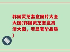 韩国灵芝套盒图片大全大图(韩国灵芝套盒高清大图，尽显奢华品质)