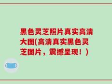 黑色灵芝照片真实高清大图(高清真实黑色灵芝图片，震撼呈现！)