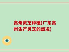 高州灵芝种植(广东高州生产灵芝的盛况)