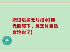 阳过后灵芝片泡水(阳光照耀下，灵芝片更适合泡水了)