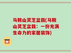 马鞍山灵芝盆栽(马鞍山灵芝盆栽：一份充满生命力的家居装饰)