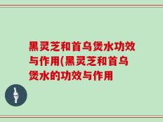 黑灵芝和首乌煲水功效与作用(黑灵芝和首乌煲水的功效与作用