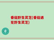 香菇野生灵芝(香菇遇见野生灵芝)