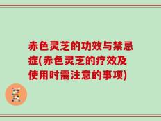 赤色灵芝的功效与禁忌症(赤色灵芝的疗效及使用时需注意的事项)