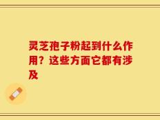 灵芝孢子粉起到什么作用？这些方面它都有涉及