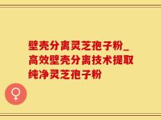 壁壳分离灵芝孢子粉_高效壁壳分离技术提取纯净灵芝孢子粉