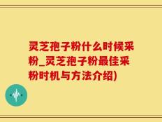 灵芝孢子粉什么时候采粉_灵芝孢子粉最佳采粉时机与方法介绍)