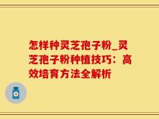 怎样种灵芝孢子粉_灵芝孢子粉种植技巧：高效培育方法全解析