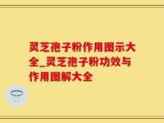 灵芝孢子粉作用图示大全_灵芝孢子粉功效与作用图解大全