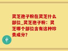 灵芝孢子粉在灵芝什么部位_灵芝孢子粉：灵芝哪个部位含有这种珍贵成分？