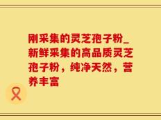 刚采集的灵芝孢子粉_新鲜采集的高品质灵芝孢子粉，纯净天然，营养丰富