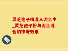 灵芝孢子粉混入泥土中_灵芝孢子粉与泥土混合的神奇效果