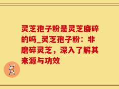 灵芝孢子粉是灵芝磨碎的吗_灵芝孢子粉：非磨碎灵芝，深入了解其来源与功效