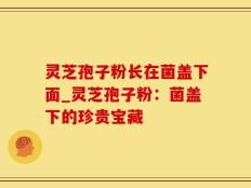 灵芝孢子粉长在菌盖下面_灵芝孢子粉：菌盖下的珍贵宝藏