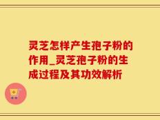 灵芝怎样产生孢子粉的作用_灵芝孢子粉的生成过程及其功效解析