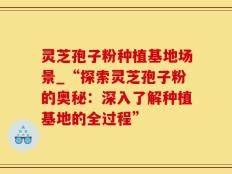 灵芝孢子粉种植基地场景_“探索灵芝孢子粉的奥秘：深入了解种植基地的全过程”