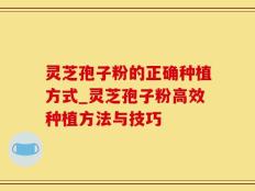 灵芝孢子粉的正确种植方式_灵芝孢子粉高效种植方法与技巧