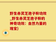 野生赤灵芝孢子粉功效_野生赤灵芝孢子粉的神奇功效：自然力量的瑰宝)