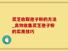 灵芝收取孢子粉的方法_高效收集灵芝孢子粉的实用技巧