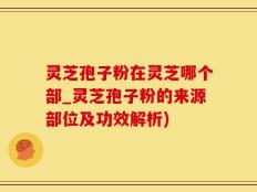 灵芝孢子粉在灵芝哪个部_灵芝孢子粉的来源部位及功效解析)