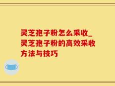 灵芝孢子粉怎么采收_灵芝孢子粉的高效采收方法与技巧